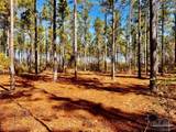 Lot 17 Denali Rd - Photo 20