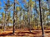 Lot 17 Denali Rd - Photo 21