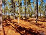 Lot 17 Denali Rd - Photo 22