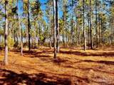 Lot 17 Denali Rd - Photo 23