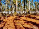 Lot 17 Denali Rd - Photo 24