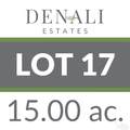 Lot 17 Denali Rd - Photo 5