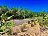 Lot 5 Creekdown Ln - Photo 29
