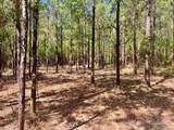Lot 9 Creekdown Ln - Photo 18