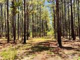 Lot 15 Naturewalk Dr - Photo 16