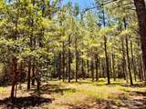 Lot 15 Naturewalk Dr - Photo 22