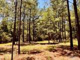 Lot 15 Naturewalk Dr - Photo 23