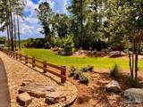 Lot 15 Naturewalk Dr - Photo 41
