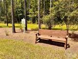 Lot 15 Naturewalk Dr - Photo 9