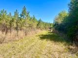 Lot 16 Naturewalk Dr - Photo 10