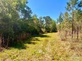 Lot 16 Naturewalk Dr - Photo 11