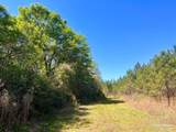 Lot 16 Naturewalk Dr - Photo 12
