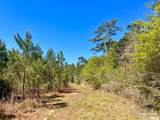 Lot 16 Naturewalk Dr - Photo 13