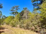 Lot 16 Naturewalk Dr - Photo 14