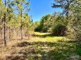 Lot 16 Naturewalk Dr - Photo 15