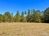 Lot 16 Naturewalk Dr - Photo 6