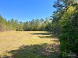 Lot 16 Naturewalk Dr - Photo 9