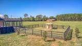 9575 Chumuckla Springs Rd - Photo 39