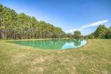 9575 Chumuckla Springs Rd - Photo 45