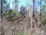 Doc Whitfield Rd - Photo 2