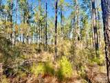 Lot 82 Nature Walk Rd - Photo 10