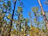 Lot 82 Nature Walk Rd - Photo 11