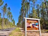 Lot 82 Nature Walk Rd - Photo 20