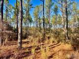 Lot 82 Nature Walk Rd - Photo 9