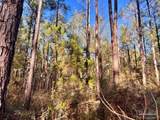 Lot 8-RS Hwy 182 - Photo 11