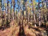 Lot 8-RS Hwy 182 - Photo 12