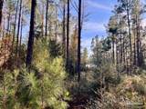 Lot 8-RS Hwy 182 - Photo 13