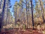 Lot 8-RS Hwy 182 - Photo 7
