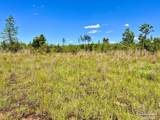 Lot 2-C Cotton Lake Rd - Photo 13