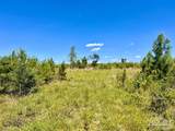 Lot 2-C Cotton Lake Rd - Photo 15