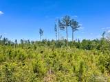 Lot 3-C Cotton Lake Rd - Photo 12