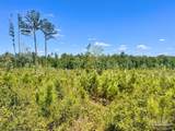 Lot 3-C Cotton Lake Rd - Photo 13
