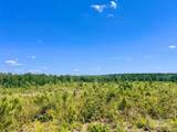 Lot 3-C Cotton Lake Rd - Photo 5