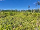 Lot 3-C Cotton Lake Rd - Photo 6