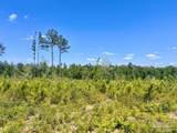Lot 3-C Cotton Lake Rd - Photo 7