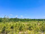 Lot 3-C Cotton Lake Rd - Photo 8