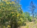 Lot 15-C Hwy 29 - Photo 17