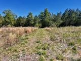 Lot 4 BS Buffalo Ridge Rd - Photo 10