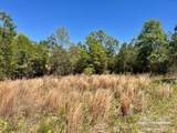 Lot 4 BS Buffalo Ridge Rd - Photo 11