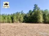 Lot 4 BS Buffalo Ridge Rd - Photo 2