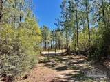 Lot 4 BS Buffalo Ridge Rd - Photo 3