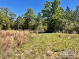 Lot 4 BS Buffalo Ridge Rd - Photo 4