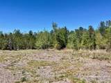 Lot 4 BS Buffalo Ridge Rd - Photo 5