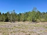 Lot 4 BS Buffalo Ridge Rd - Photo 7
