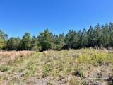 Lot 4 BS Buffalo Ridge Rd - Photo 8