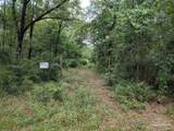 10683 Hatcher St - Photo 3